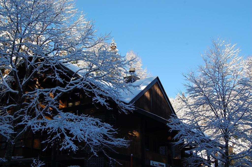 Il Bosco Villa Hakuba Eksteriør bilde