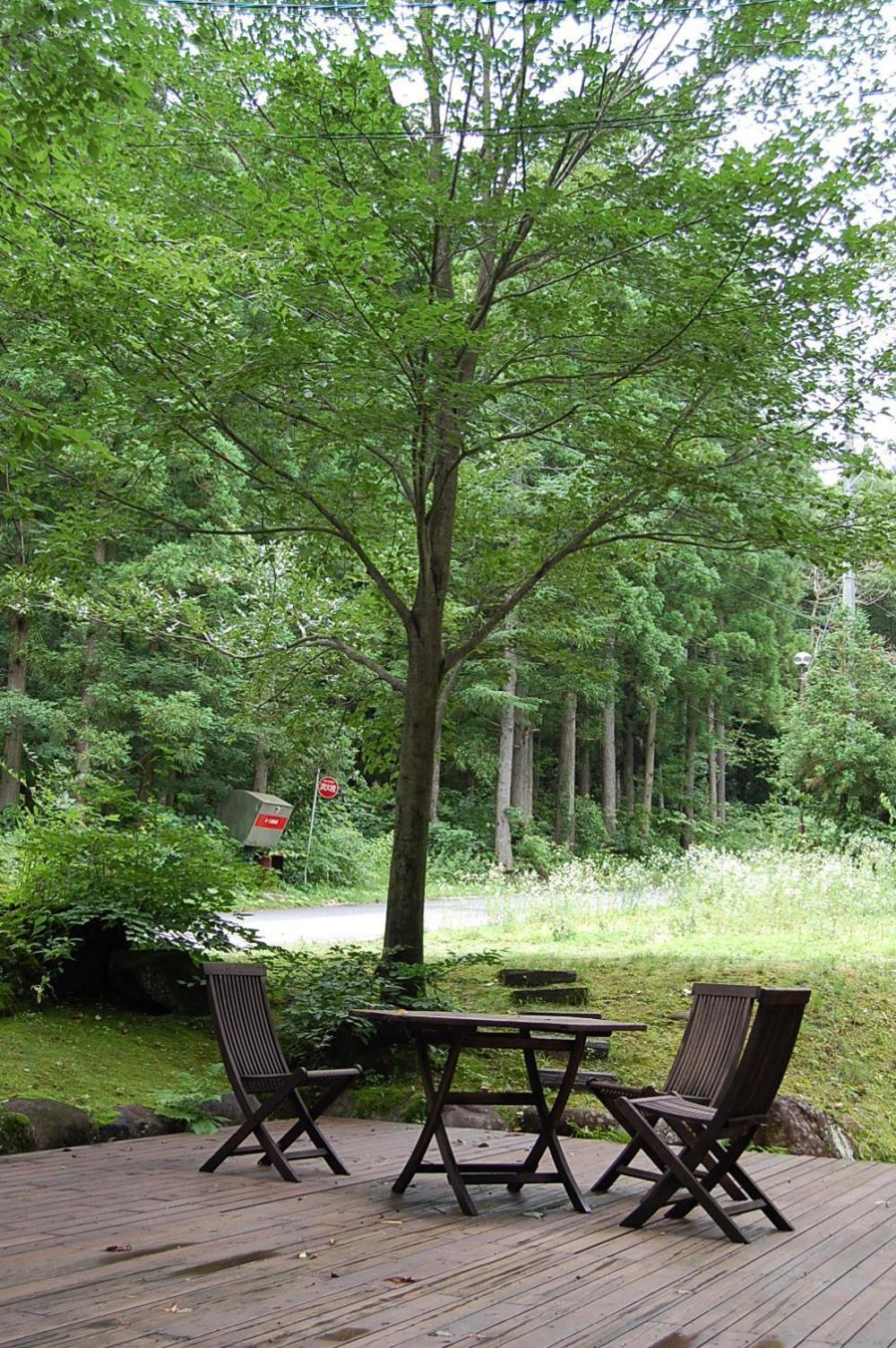 Il Bosco Villa Hakuba Eksteriør bilde