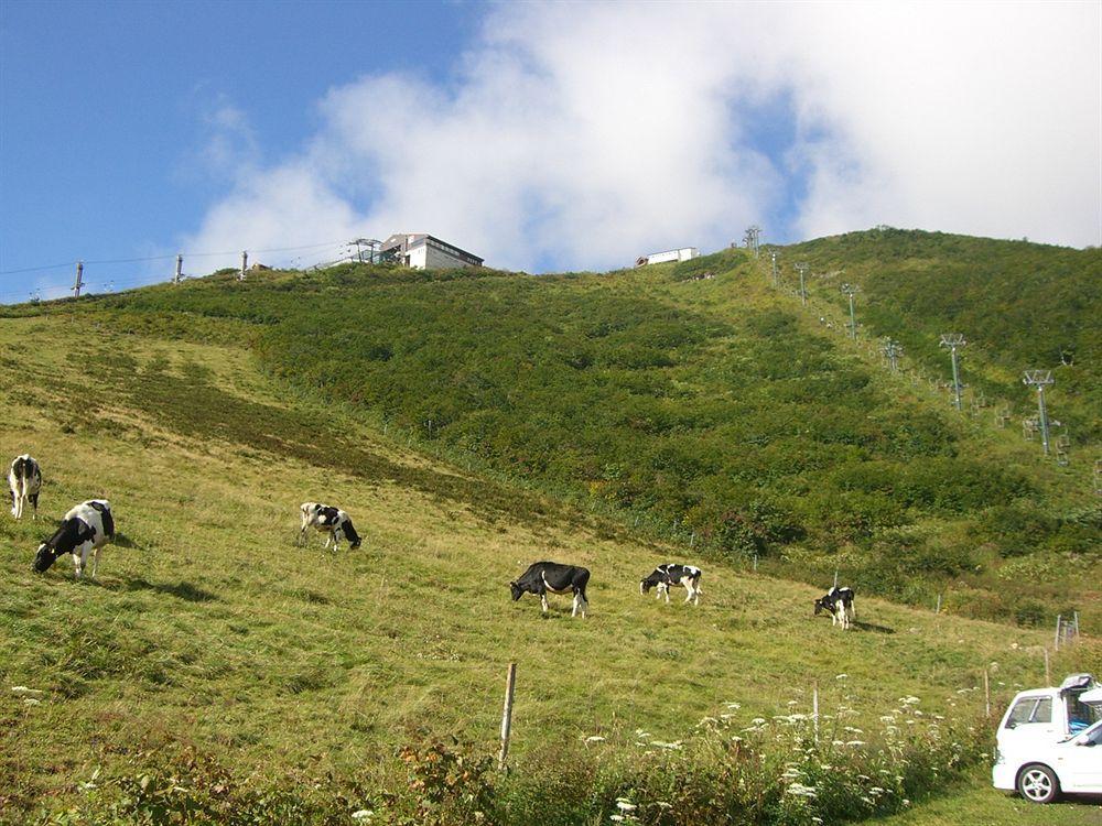 Il Bosco Villa Hakuba Eksteriør bilde
