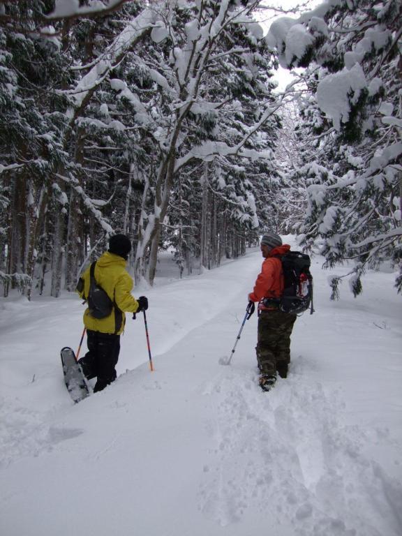 Il Bosco Villa Hakuba Eksteriør bilde