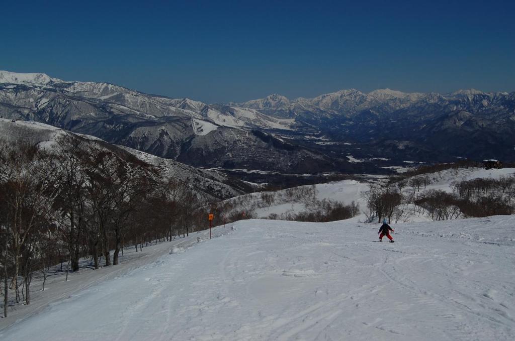 Il Bosco Villa Hakuba Eksteriør bilde