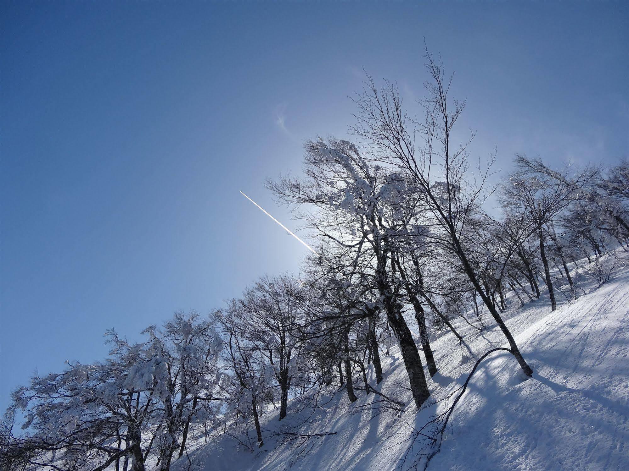 Il Bosco Villa Hakuba Eksteriør bilde